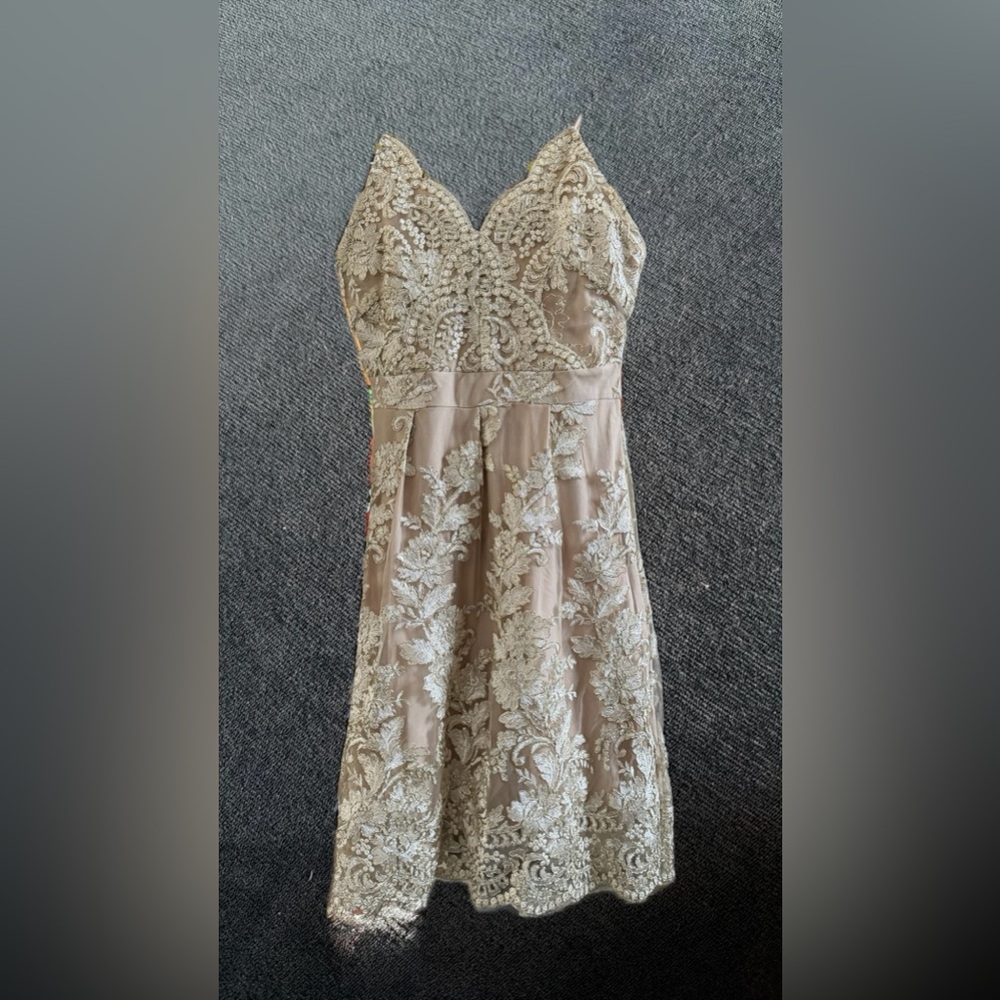 Elegant Champagne Color Lace Dress